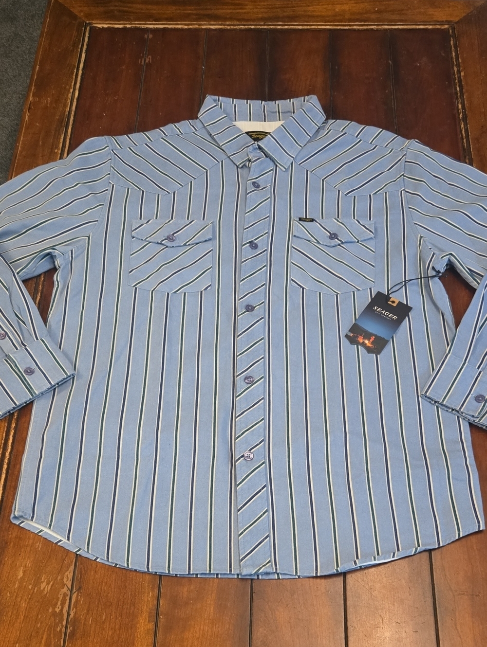 Seager Men's Blue Striped Casual Button-Down Shirt